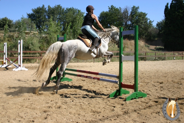 L equitation avec Equi Loisir 66